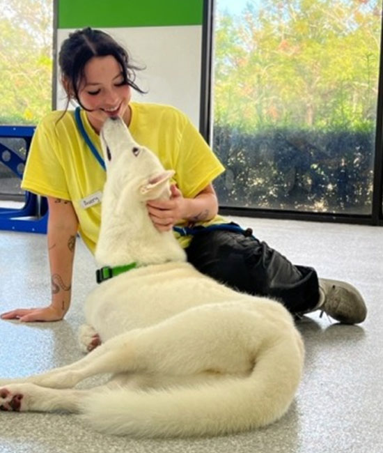 A woman in a yellow shirt sits on the floor, smiling as a white dog with a green collar lies beside her and affectionately nuzzles her face in a bright indoor setting with large windows.