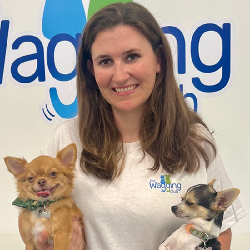 A woman smiles while holding two small dogs. She is wearing a t-shirt with "The Wagging Club" logo, celebrating their dog daycare services. The background shows a partial view of the logo on the wall.