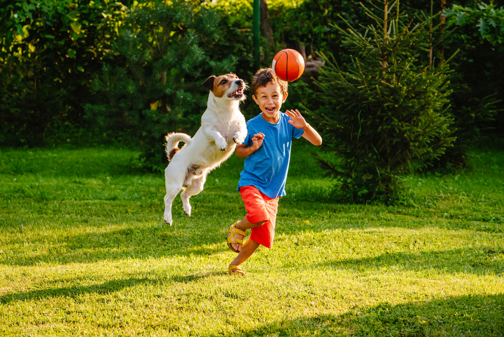 A boy in a blue shirt and red shorts joyfully runs through a grassy yard, pursued by a small, energetic dog. The dog leaps playfully towards a red ball the boy is holding, with trees and bushes in the background.