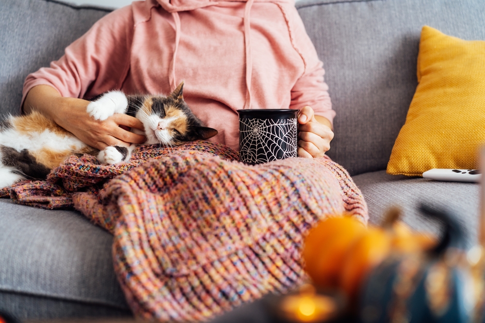 A person in a pink hoodie sits on a gray couch, holding a black mug with a spiderweb design. A calico cat is cuddled up under a colorful knit blanket on their lap. A yellow pillow and a remote are nearby. Small pumpkins are in the foreground.