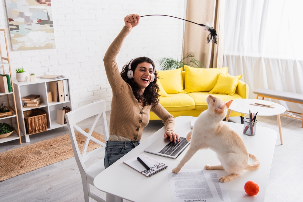 A woman wearing headphones sits at a table with a laptop, playfully waving a feather toy above a cat. The cat stands on the table, focused on the toy. In the background, there's a yellow sofa and plants.