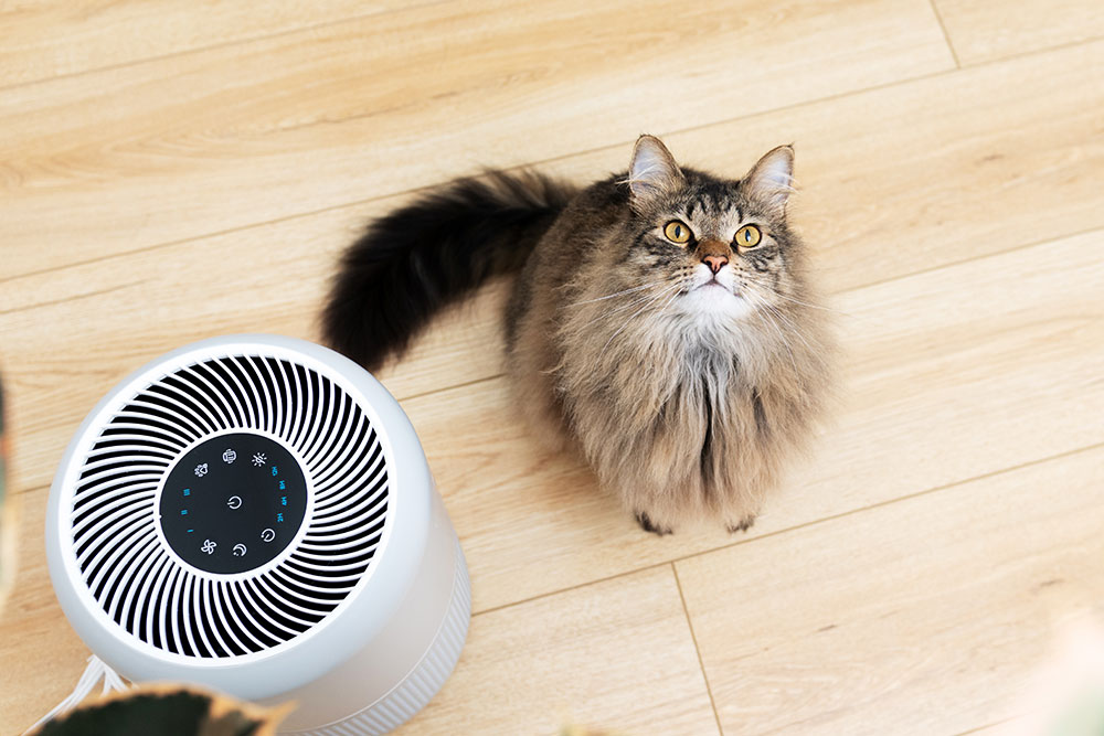 A fluffy cat with long fur sits on a wooden floor near a white air purifier. The cat looks up with curious eyes, and the air purifier displays various control buttons on its surface.