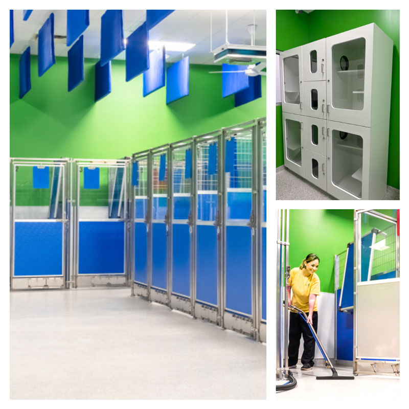 Collage of a modern animal shelter: left shows blue and metal kennels with green walls, top right shows white cat condos, and bottom right shows a person mopping the clean shelter floor.